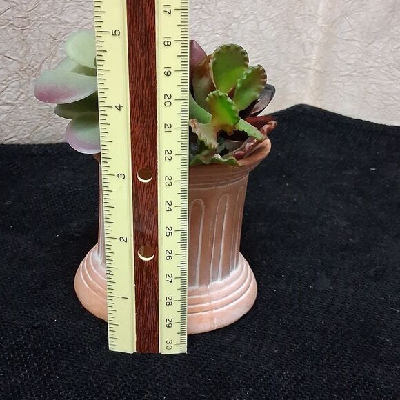 Decorative Succulent Planters with Colorful Leaves - Picture 8 of 9